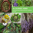 Load image into Gallery viewer, 18 Culinary Herb Seed Collection – Heirloom Herbs for Cooking, Teas, Remedies & Year-Round Kitchen Gardens
