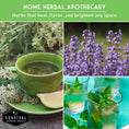 Load image into Gallery viewer, Medicinal Tea Herb Seeds Collection – 9 Heirloom Non-GMO Herbs for Calming Teas, Wellness & Home Apothecary Gardens (Chamomile, Lavender, Peppermint, Sage & More)

