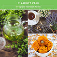 Load image into Gallery viewer, Medicinal Tea Herb Seeds Collection – 9 Heirloom Non-GMO Herbs for Calming Teas, Wellness & Home Apothecary Gardens (Chamomile, Lavender, Peppermint, Sage & More)
