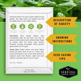 Load image into Gallery viewer, Culinary Herb Seed Collection – 5 Essential Kitchen Herbs for Indoor or Outdoor Growing
