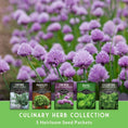 Load image into Gallery viewer, Culinary Herb Seed Collection – 5 Essential Kitchen Herbs for Indoor or Outdoor Growing

