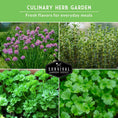 Load image into Gallery viewer, Culinary Herb Seed Collection – 5 Essential Kitchen Herbs for Indoor or Outdoor Growing
