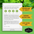 Load image into Gallery viewer, Indoor Herb Garden Seeds Variety Pack – 10 Heirloom Culinary Herbs for Windowsill or Container Growing
