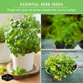 Load image into Gallery viewer, Indoor Herb Garden Seeds Variety Pack – 10 Heirloom Culinary Herbs for Windowsill or Container Growing
