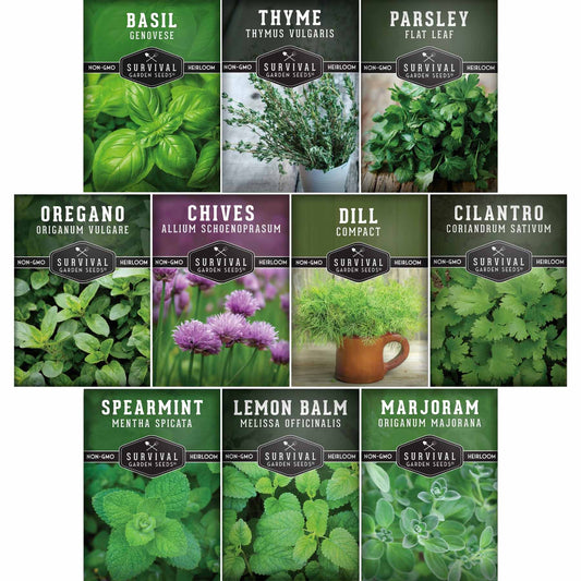 Indoor Herb Garden Seeds Variety Pack – 10 Heirloom Culinary Herbs for Windowsill or Container Growing