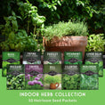 Load image into Gallery viewer, Indoor Herb Garden Seeds Variety Pack – 10 Heirloom Culinary Herbs for Windowsill or Container Growing
