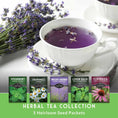 Load image into Gallery viewer, Herbal Tea Garden Seeds Kit – 5 Heirloom Medicinal Herbs for Soothing Teas, Remedies & Pollinator-Friendly Gardens
