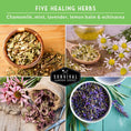 Load image into Gallery viewer, Herbal Tea Garden Seeds Kit – 5 Heirloom Medicinal Herbs for Soothing Teas, Remedies & Pollinator-Friendly Gardens
