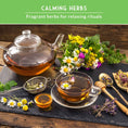 Load image into Gallery viewer, Herbal Tea Garden Seeds Kit – 5 Heirloom Medicinal Herbs for Soothing Teas, Remedies & Pollinator-Friendly Gardens
