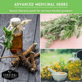 Load image into Gallery viewer, Herbalist Bundle – 8-Varieties of Heirloom Perennial & Biennial Healing Plants for Advanced Apothecary Gardens
