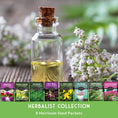 Load image into Gallery viewer, Herbalist Bundle – 8-Varieties of Heirloom Perennial & Biennial Healing Plants for Advanced Apothecary Gardens
