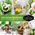 Load image into Gallery viewer, Medicinal Herb Garden - 36 Heirloom Seed Varieties for a Wellness Garden
