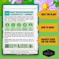 Load image into Gallery viewer, Native Habitat Seed Collection – 24 Native Wildflowers & Grasses for Pollinators, Meadows & Low-Maintenance Landscapes
