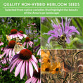 Load image into Gallery viewer, Native Habitat Seed Collection – 24 Native Wildflowers & Grasses for Pollinators, Meadows & Low-Maintenance Landscapes
