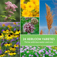 Load image into Gallery viewer, Native Habitat Seed Collection – 24 Native Wildflowers & Grasses for Pollinators, Meadows & Low-Maintenance Landscapes

