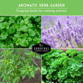 Load image into Gallery viewer, Popular Herb Seed Collection – 5 Heirloom Non-GMO Herbs for Culinary & Garden Use (Spearmint, Basil, Cilantro, Lavender & Parsley) – Indoor or Outdoor Growing Kit
