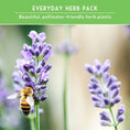 Load image into Gallery viewer, Popular Herb Seed Collection – 5 Heirloom Non-GMO Herbs for Culinary & Garden Use (Spearmint, Basil, Cilantro, Lavender & Parsley) – Indoor or Outdoor Growing Kit
