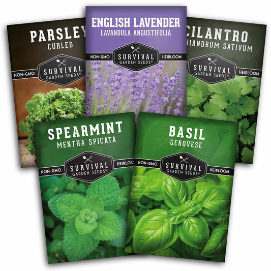 Popular Herb Seed Collection – 5 Heirloom Non-GMO Herbs for Culinary & Garden Use (Spearmint, Basil, Cilantro, Lavender & Parsley) – Indoor or Outdoor Growing Kit