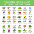 Load image into Gallery viewer, Medicinal Herb Garden - 36 Heirloom Seed Varieties for a Wellness Garden
