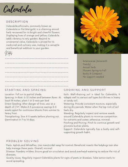 A Beginner Guide to Growing a Medicinal Garden (E-Book)