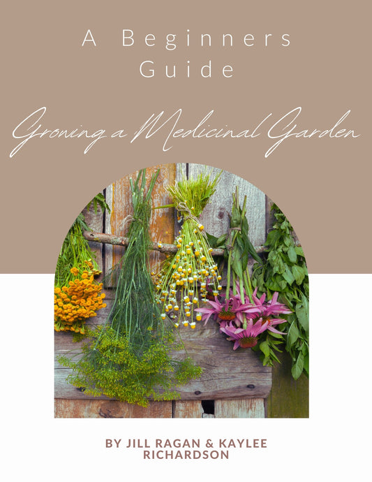 A Beginner Guide to Growing a Medicinal Garden (E-Book)